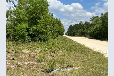 0000 NE 131 Terrace Terrace, Williston, FL 32696 - Photo 1