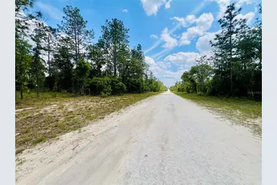0000 NE 131 Terrace, Williston, FL 32696 - Photo 1