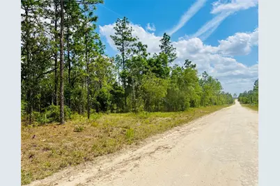 0000 NE 131 Terrace Terrace, Williston, FL 32696 - Photo 3