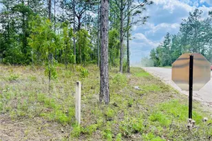 0000 NE 131 Terrace Terrace, Williston, FL 32696 - Photo 1