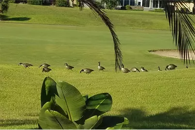 6816 SW 95th Circle, Ocala, FL 34481 - Photo 93