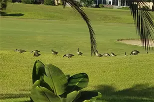 6816 S W 95th Cir, Ocala, FL 34481 - Photo 93