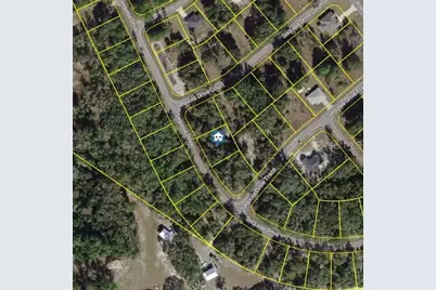 Tbd Sequoia Drive Lot # 16, Ocklawaha, FL 32179 - Photo 5