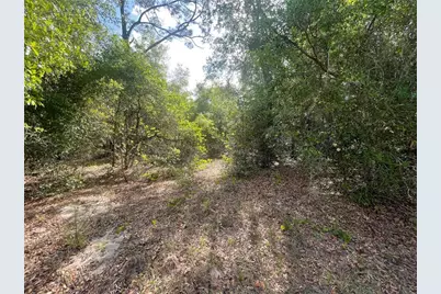 Tbd Sequoia Drive Lot # 16, Ocklawaha, FL 32179 - Photo 3