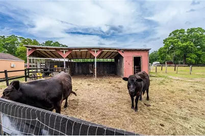 10631 W Highway 40, Ocala, FL 34482 - Photo 11