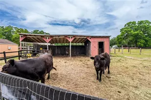 10631 W Hwy 40, Ocala, FL 34482 - Photo 11