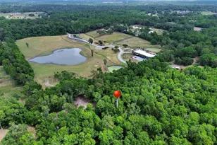 Tbd SE 41st Terrace, Belleview, FL 34420 - Photo 1