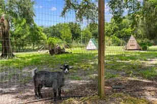 889 SW 165th St, Ocala, FL 34473 - Photo 9