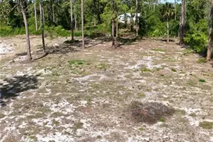 2005 Columbus Ave, Alva, FL 33920 - Photo 7