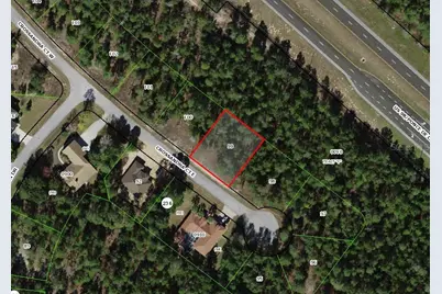 7 Crossandra Court E, Homosassa, FL 34446 - Photo 1