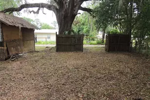 219 SE 3rd Ave, Williston, FL 32696 - Photo 7