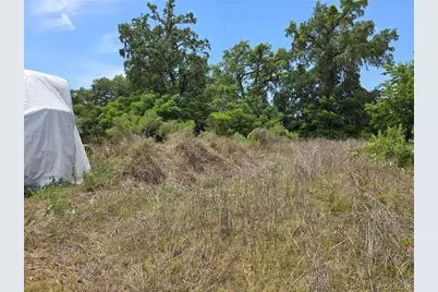 11828 County Road 105, Oxford, FL 34484 - Photo 15