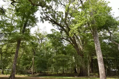 3019 NE 709th Avenue, Old Town, FL 32680 - Photo 35