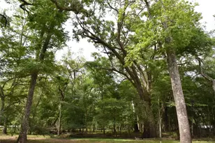 3019 NE 709th Ave, Old Town, FL 32680 - Photo 35