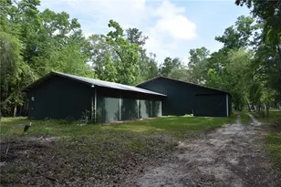 3019 NE 709th Ave, Old Town, FL 32680 - Photo 9