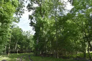 3019 NE 709th Ave, Old Town, FL 32680 - Photo 41