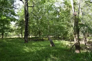 3019 NE 709th Ave, Old Town, FL 32680 - Photo 55