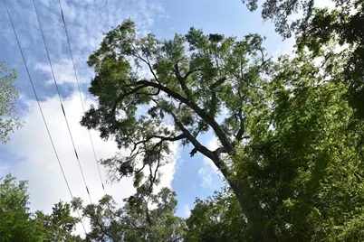 3019 NE 709th Avenue, Old Town, FL 32680 - Photo 51