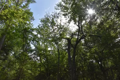 3019 NE 709th Avenue, Old Town, FL 32680 - Photo 43