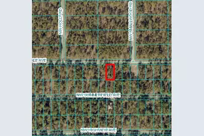 Lot 15 NW Hillsdale Avenue, Dunnellon, FL 34431 - Photo 3