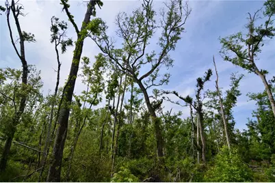 Rock Island Road, Perry, FL 32347 - Photo 13