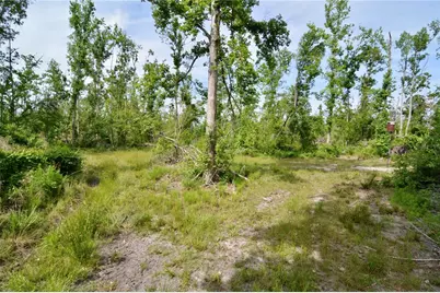 Rock Island Road, Perry, FL 32347 - Photo 65