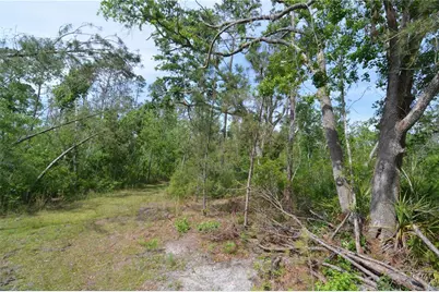 Rock Island Road, Perry, FL 32347 - Photo 49