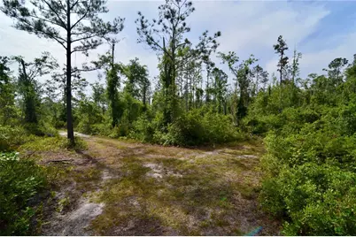 Rock Island Road, Perry, FL 32347 - Photo 17