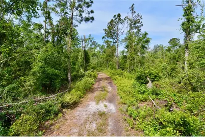 Rock Island Road, Perry, FL 32347 - Photo 63