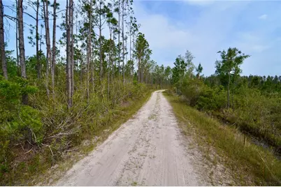 Rock Island Road, Perry, FL 32347 - Photo 7