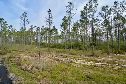 Rock Island Road, Perry, FL 32347 - Photo 23