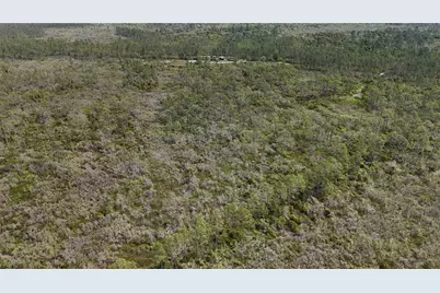 Rock Island Road, Perry, FL 32347 - Photo 69