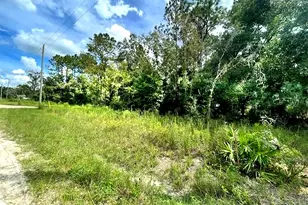 00 SW 16th Pl, Ocala, FL 34481 - Photo 1