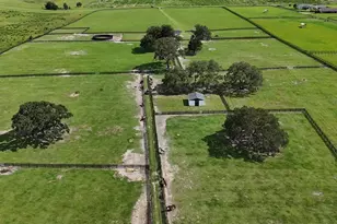 7970 SW 140th Ave, Dunnellon, FL 34432 - Photo 43