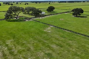 7970 SW 140th Ave, Dunnellon, FL 34432 - Photo 39