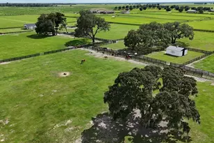 7970 SW 140th Ave, Dunnellon, FL 34432 - Photo 41