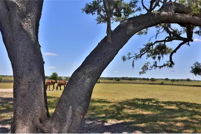 7970 SW 140th Avenue #Option 2, Dunnellon, FL 34432 - Photo 17