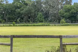 13855 NW 27th Ave, Citra, FL 32113 - Photo 43