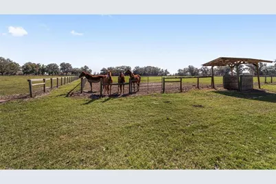 13855 NW 27th Avenue, Citra, FL 32113 - Photo 41