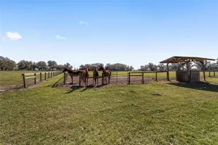 13855 NW 27th Ave, Citra, FL 32113 - Photo 41