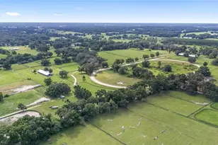 13855 NW 27th Ave, Citra, FL 32113 - Photo 59