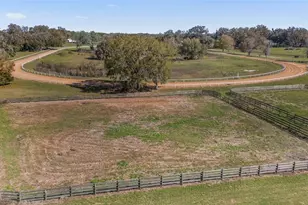 13855 NW 27th Ave, Citra, FL 32113 - Photo 5