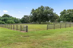 13855 NW 27th Ave, Citra, FL 32113 - Photo 21