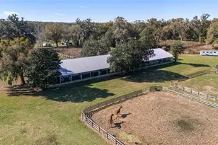 13855 NW 27th Ave, Citra, FL 32113 - Photo 29