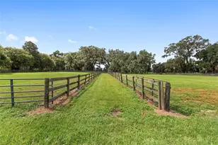 13855 NW 27th Ave, Citra, FL 32113 - Photo 13