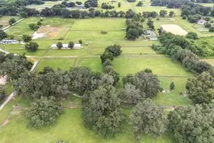 13855 NW 27th Ave, Citra, FL 32113 - Photo 81