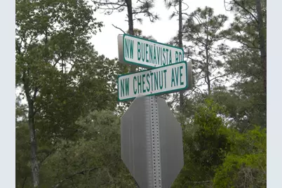 Blk 25 Lot 16 NW Buena Vista Road, Dunnellon, FL 34431 - Photo 15