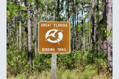 Blk 25 Lot 16 NW Buena Vista Road, Dunnellon, FL 34431 - Photo 7