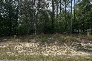 920 W Rum Pl, Dunnellon, FL 34434 - Photo 1