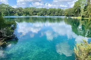 19938 Burkitt Rd, Dunnellon, FL 34432 - Photo 53